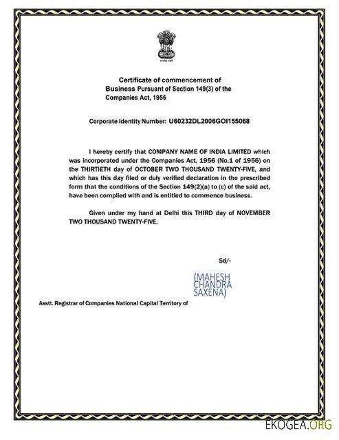 Modèle Word et PDF de certificat d'entrée en Inde